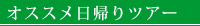 ファミリー向け日帰りツアー